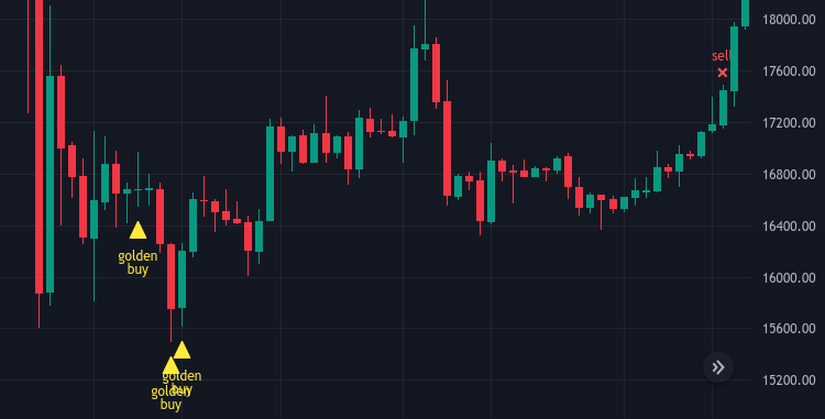 Profit Scout Signale