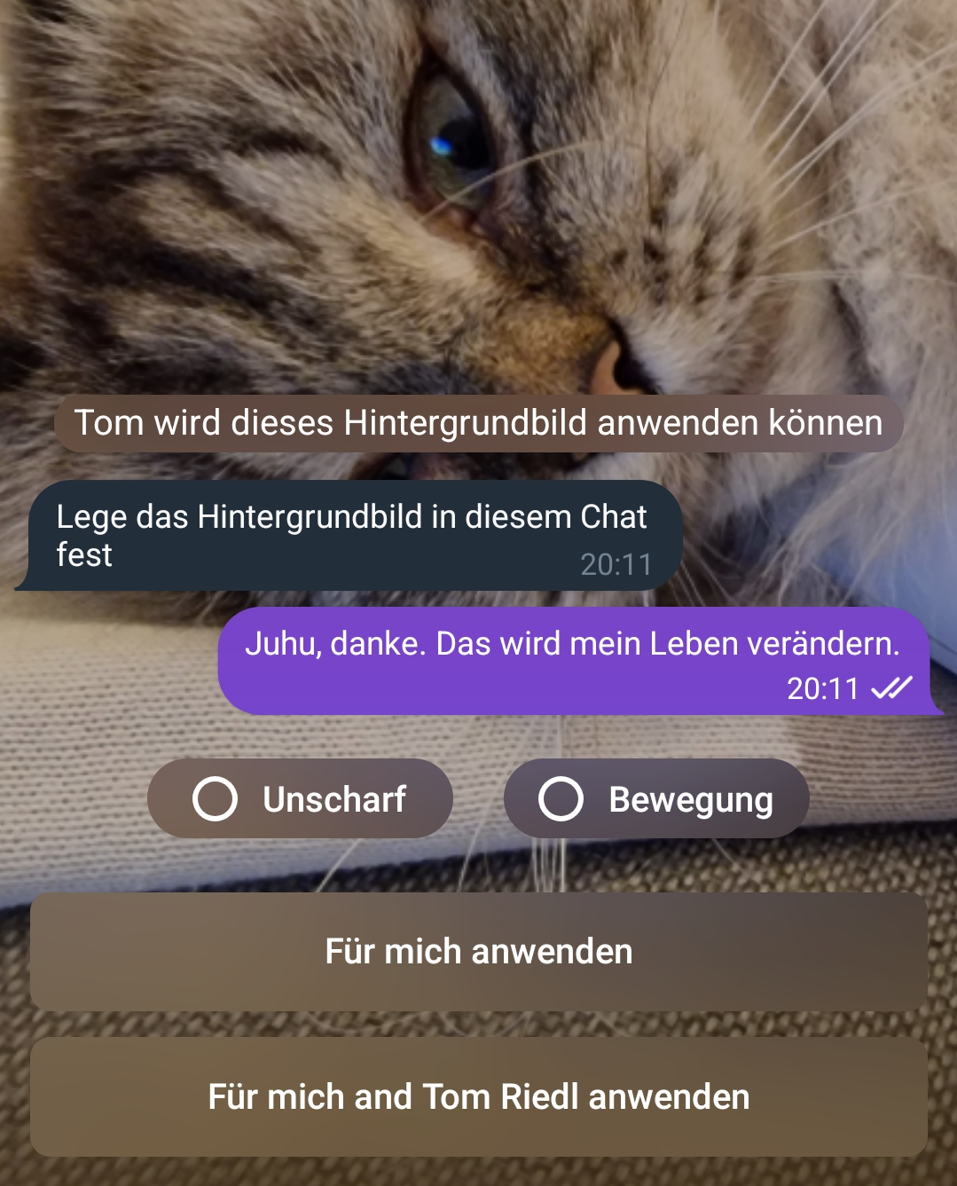 Eigene Hintergrundfotos für Chats